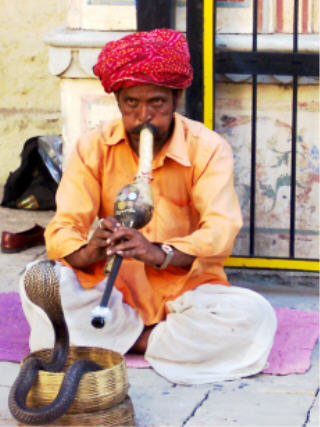 http://www.himalayantours.com/images/indian%20snake%20charmer.jpg